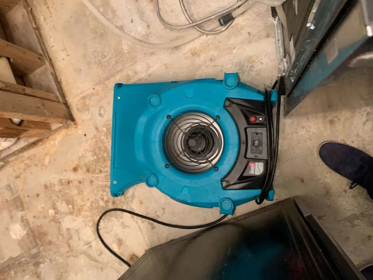 Air mover drying equipment for Mold Remediation & Removal in Lovington